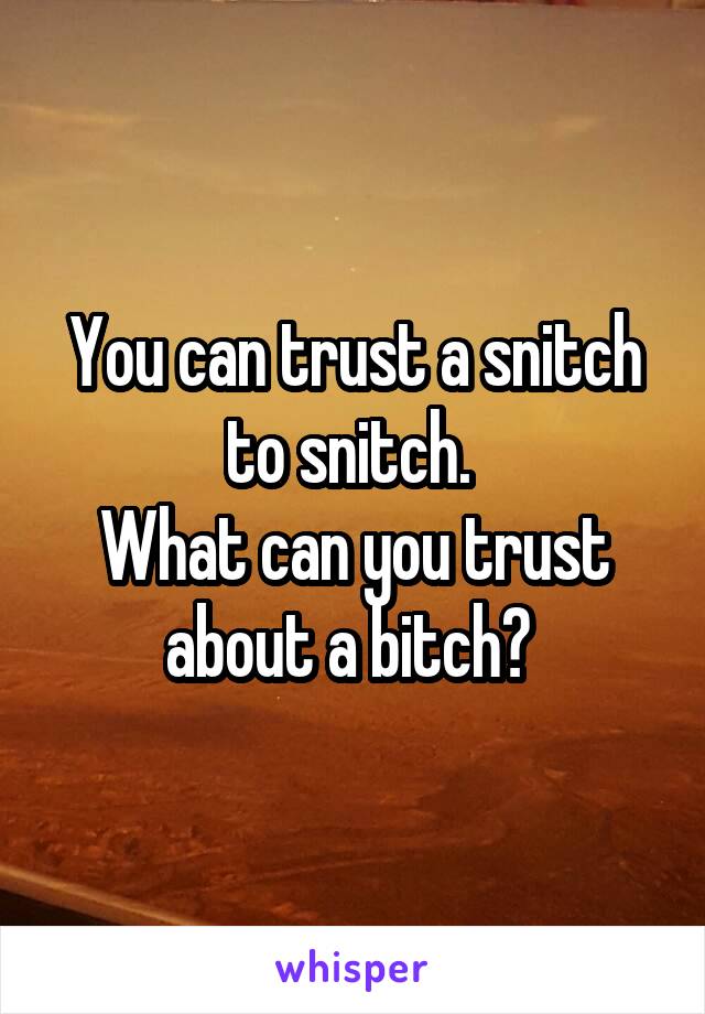 You can trust a snitch to snitch. 
What can you trust about a bitch? 