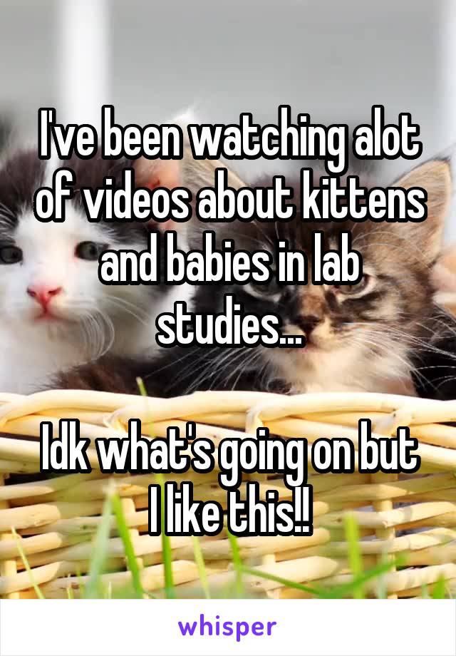 I've been watching alot of videos about kittens and babies in lab studies...

Idk what's going on but I like this!!