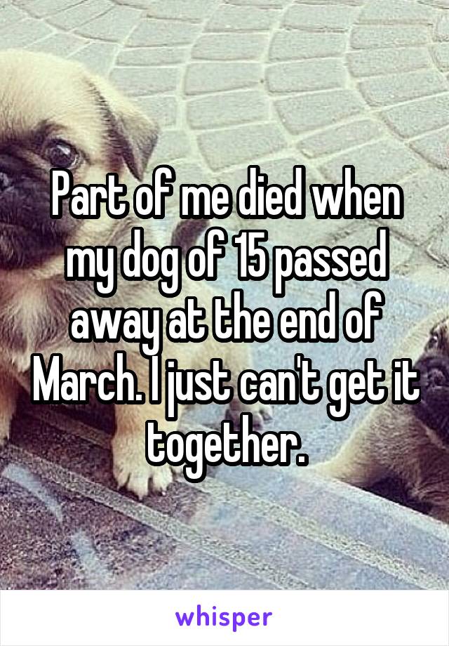 Part of me died when my dog of 15 passed away at the end of March. I just can't get it together.