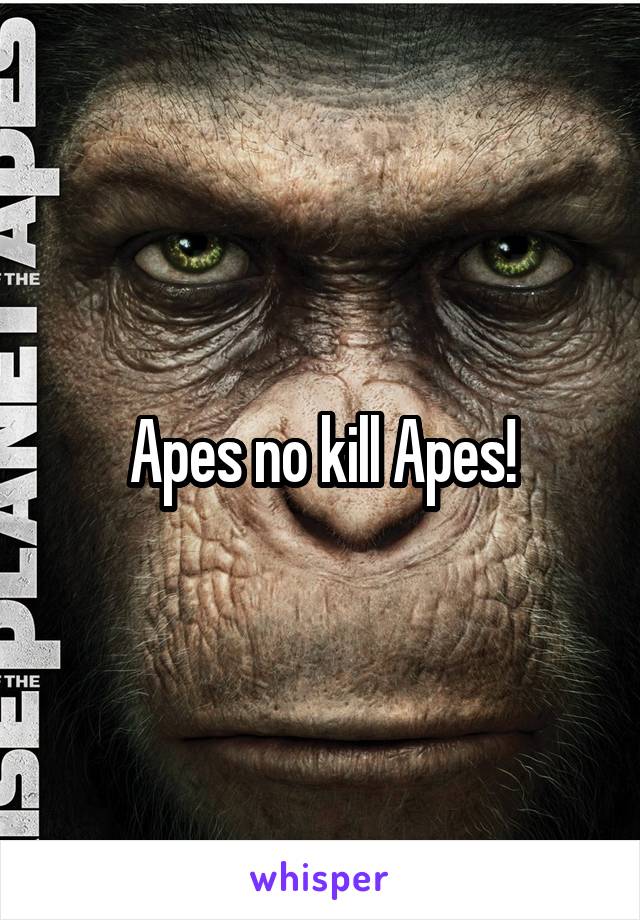 Apes no kill Apes!