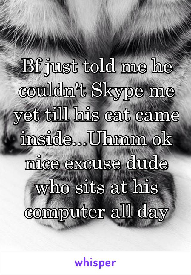 Bf just told me he couldn't Skype me yet till his cat came inside...Uhmm ok nice excuse dude who sits at his computer all day