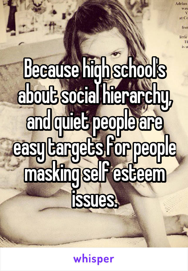 Because high school's about social hierarchy, and quiet people are easy targets for people masking self esteem issues.