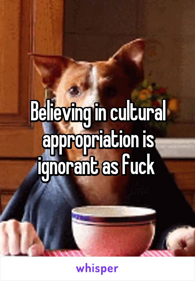 Believing in cultural appropriation is ignorant as fuck 