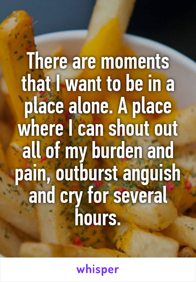 There are moments that I want to be in a place alone. A place where I can shout out all of my burden and pain, outburst anguish and cry for several hours.