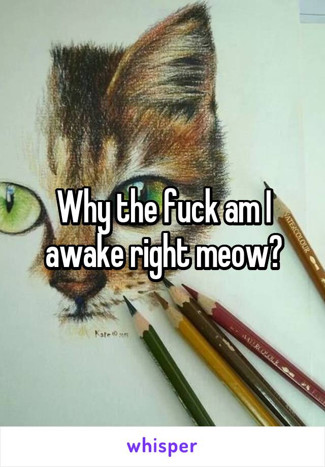 Why the fuck am I awake right meow?