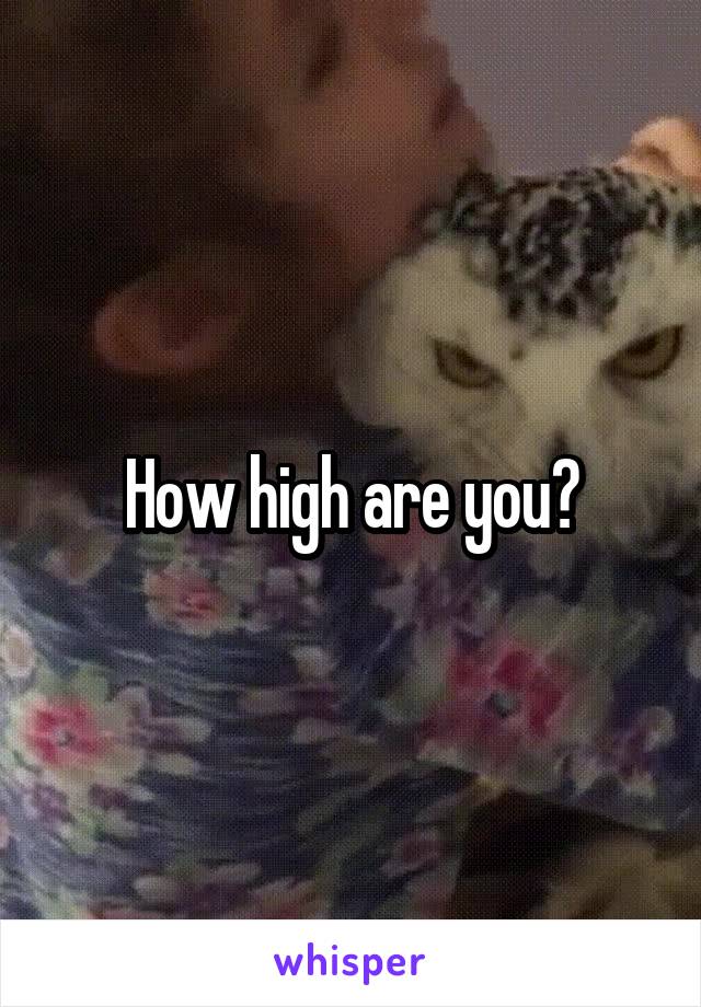 How high are you?