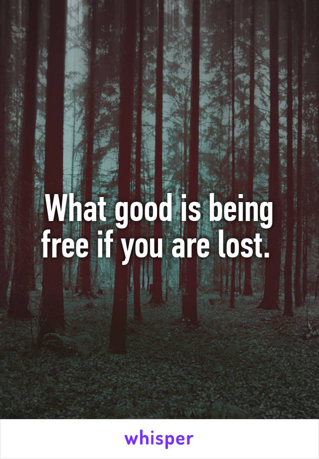 What good is being free if you are lost. 