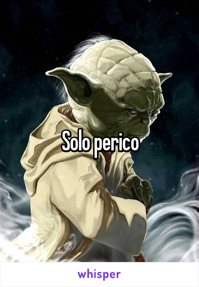 Solo perico