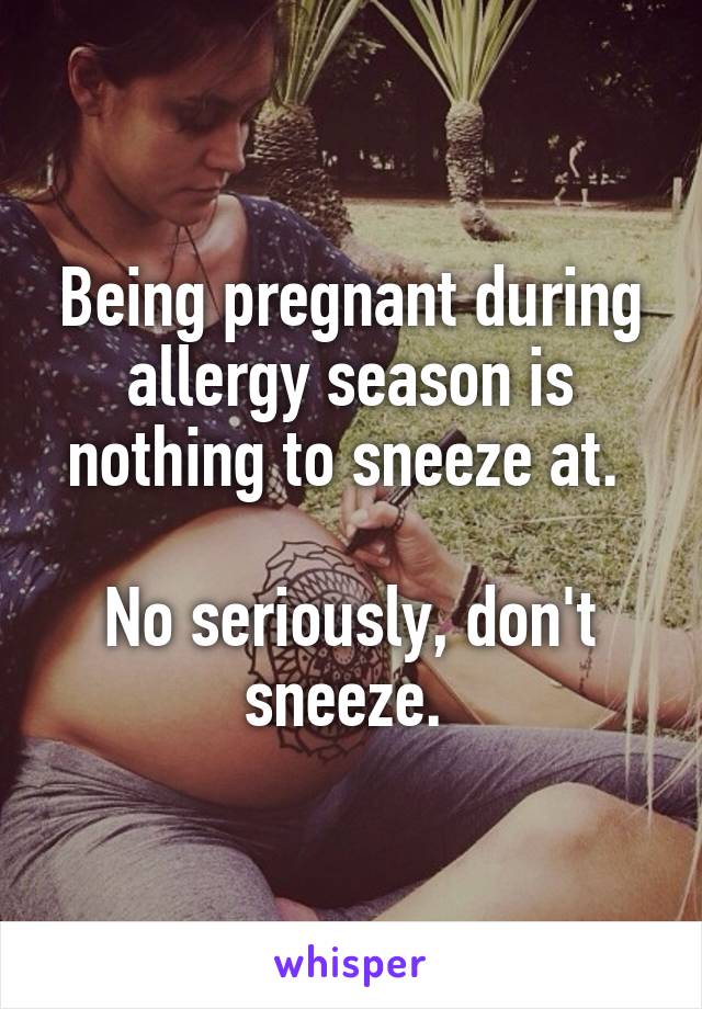  Being pregnant during allergy season is nothing to sneeze at. 

No seriously, don't sneeze. 