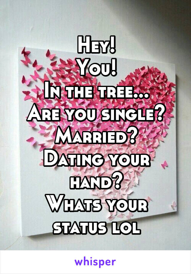 Hey!
You!
In the tree...
Are you single?
Married?
Dating your hand?
Whats your status lol