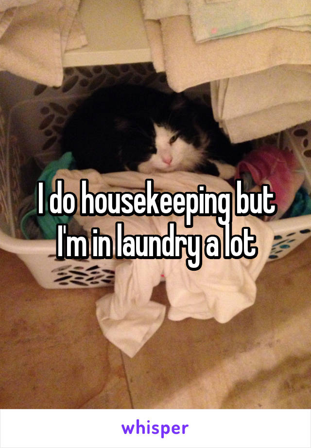 I do housekeeping but I'm in laundry a lot