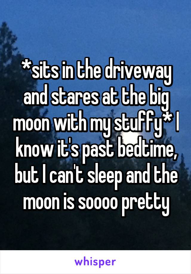 *sits in the driveway and stares at the big moon with my stuffy* I know it's past bedtime, but I can't sleep and the moon is soooo pretty