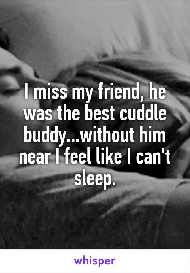 I miss my friend, he was the best cuddle buddy...without him near I feel like I can't sleep.