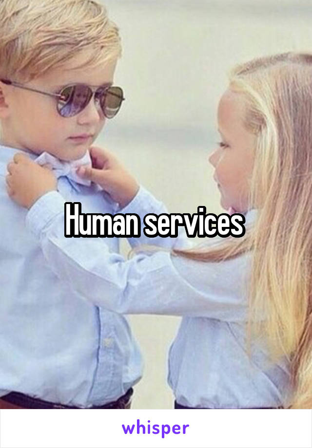 Human services 