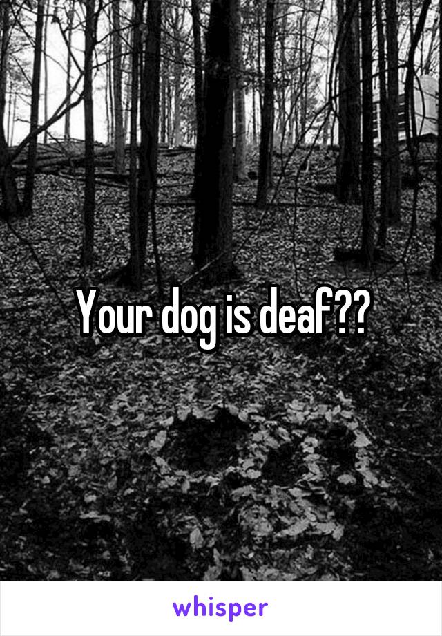 Your dog is deaf??