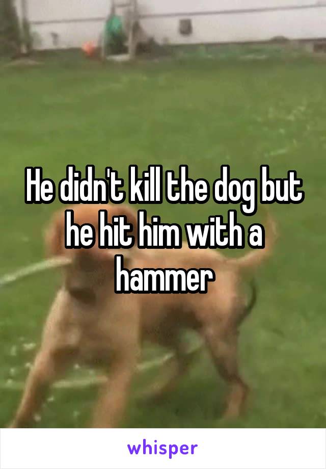 He didn't kill the dog but he hit him with a hammer