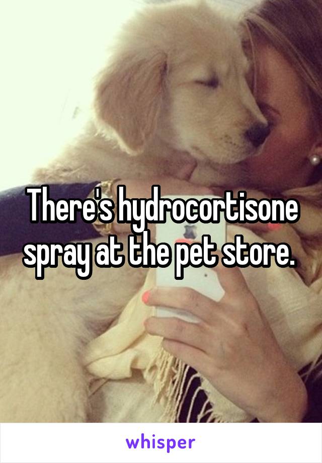 There's hydrocortisone spray at the pet store. 