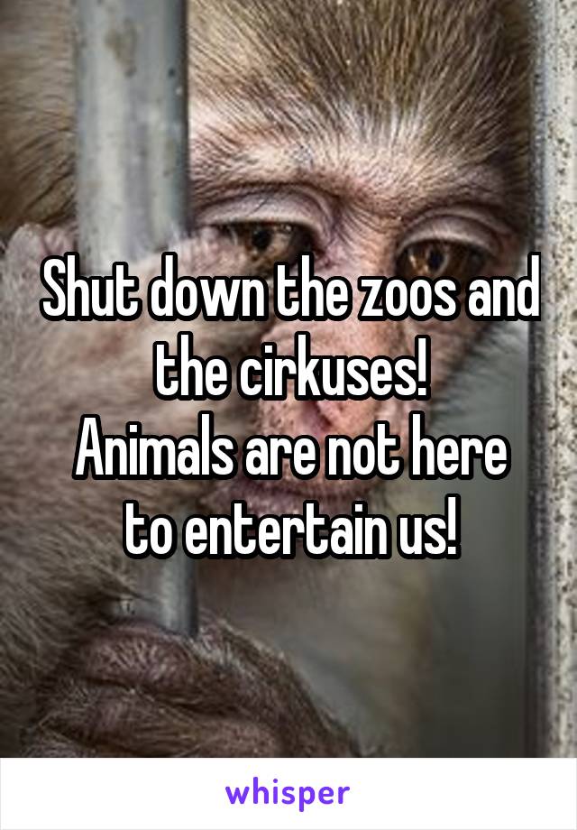  Shut down the zoos and the cirkuses!
Animals are not here to entertain us!