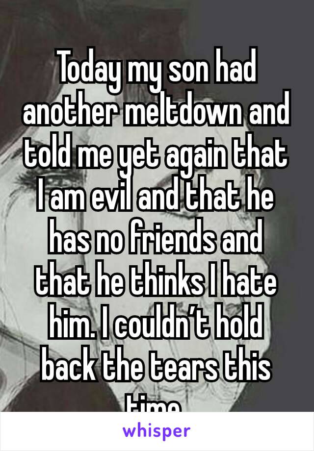 Today my son had another meltdown and told me yet again that I am evil and that he has no friends and that he thinks I hate him. I couldn’t hold back the tears this time.