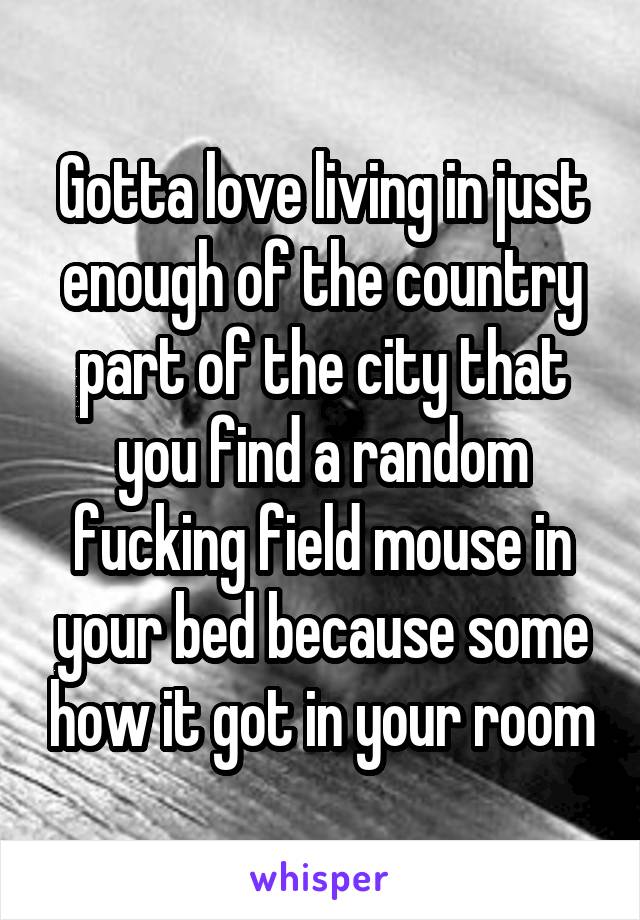 Gotta love living in just enough of the country part of the city that you find a random fucking field mouse in your bed because some how it got in your room