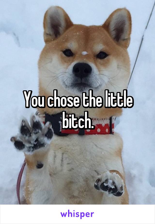 You chose the little bitch.