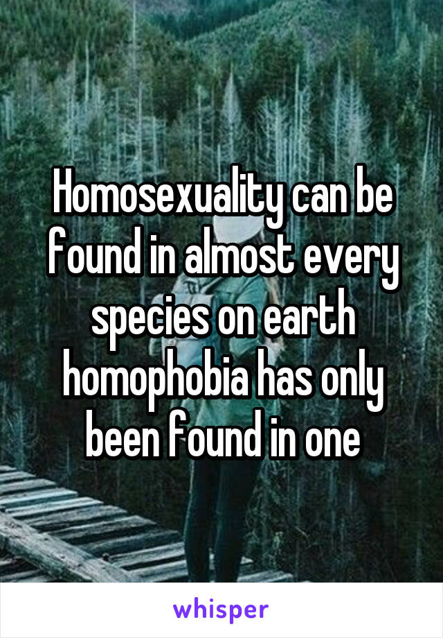 Homosexuality can be found in almost every species on earth homophobia has only been found in one