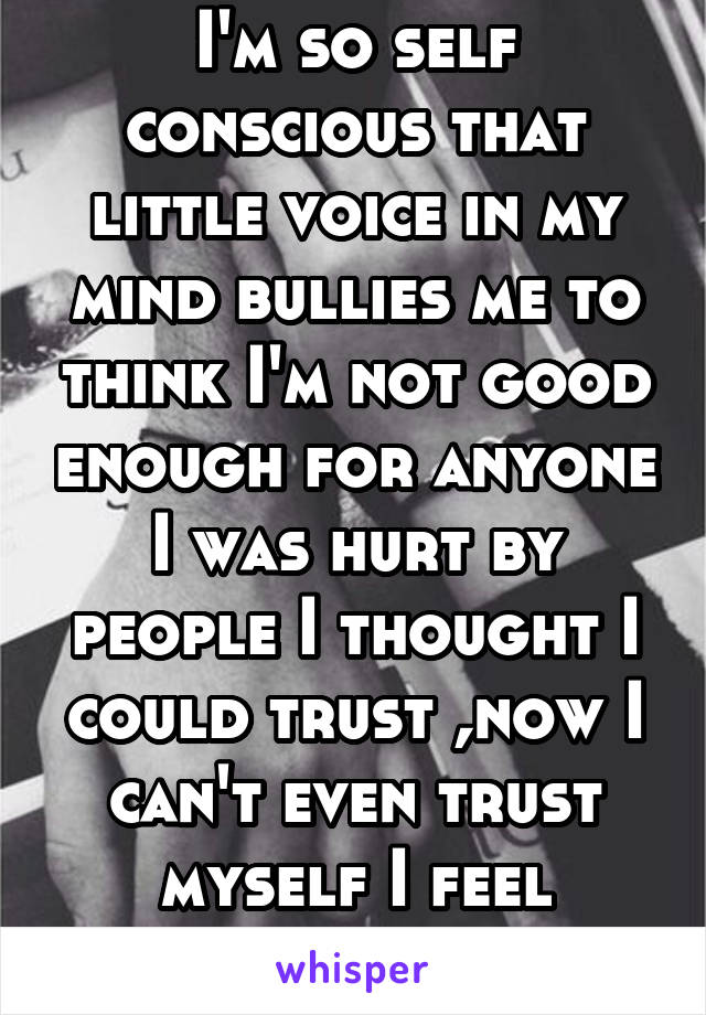 I'm so self conscious that little voice in my mind bullies me to think I'm not good enough for anyone I was hurt by people I thought I could trust ,now I can't even trust myself I feel broken.