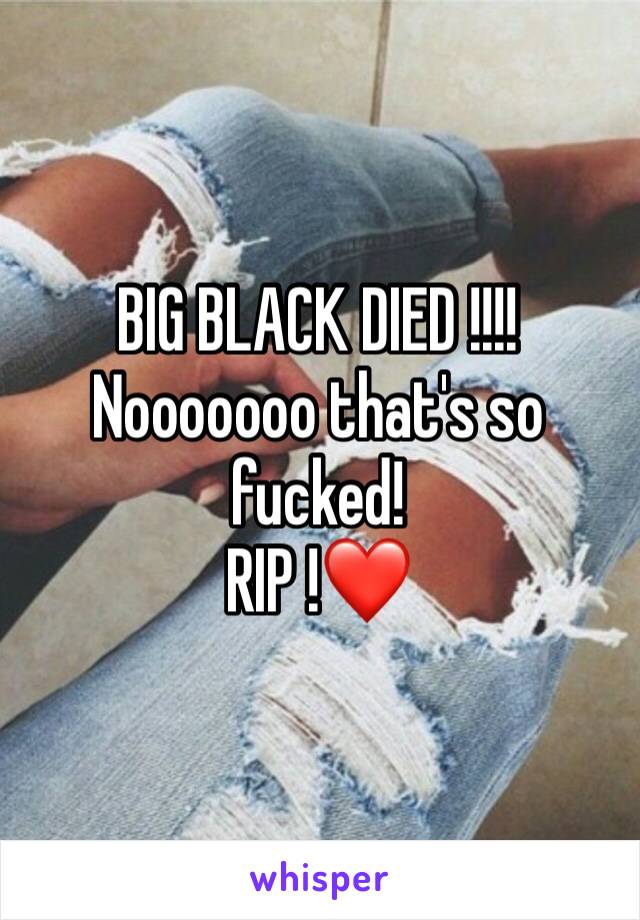 BIG BLACK DIED !!!! 
Nooooooo that's so fucked! 
RIP !❤️