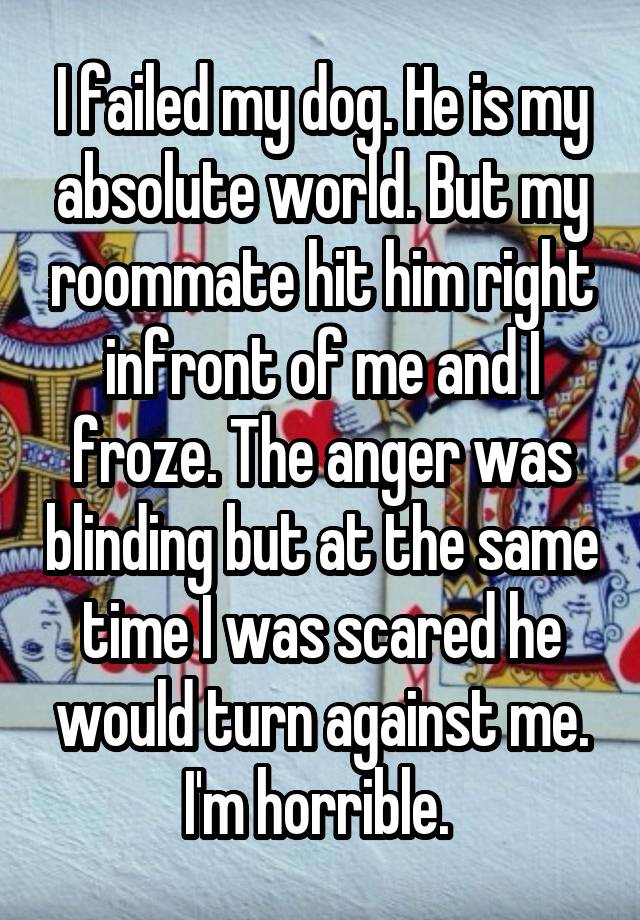 i-failed-my-dog-he-is-my-absolute-world-but-my-roommate-hit-him-right