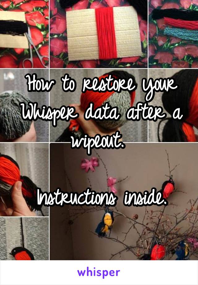 How to restore your Whisper data after a wipeout. 

Instructions inside.