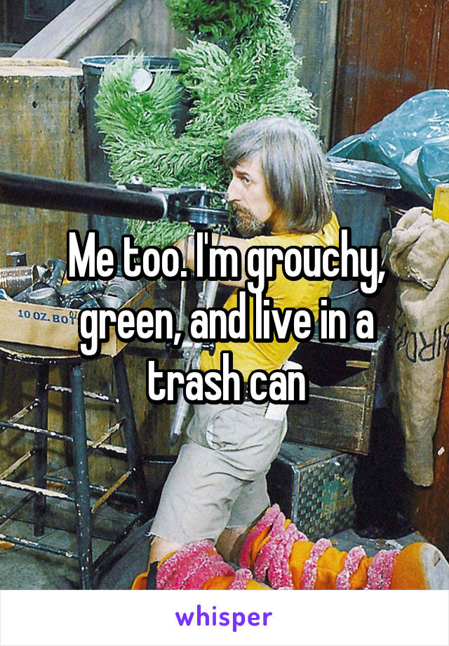 Me too. I'm grouchy, green, and live in a trash can