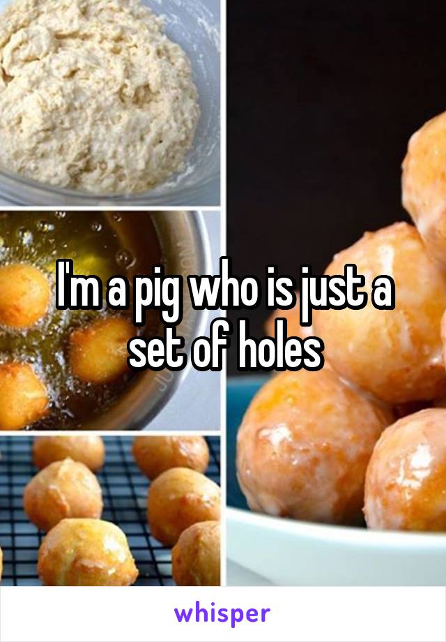 I'm a pig who is just a set of holes