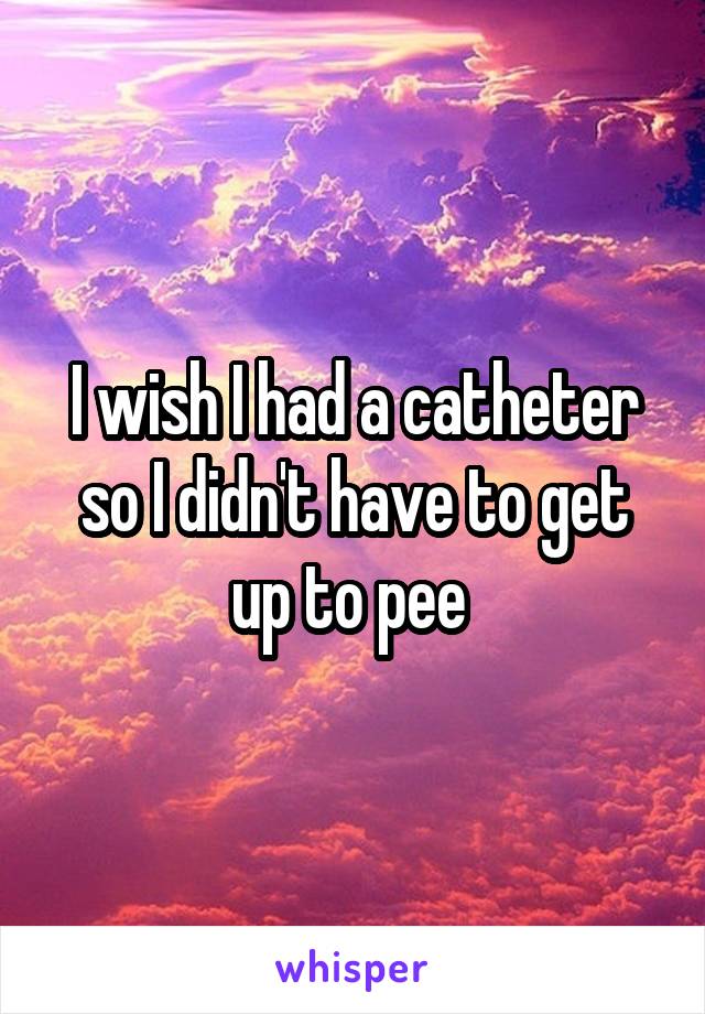 I wish I had a catheter so I didn't have to get up to pee 