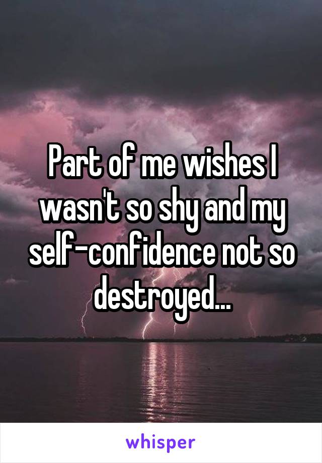 Part of me wishes I wasn't so shy and my self-confidence not so destroyed...