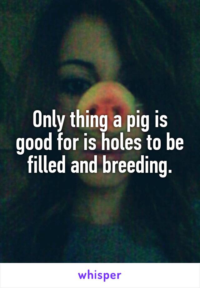 Only thing a pig is good for is holes to be filled and breeding.