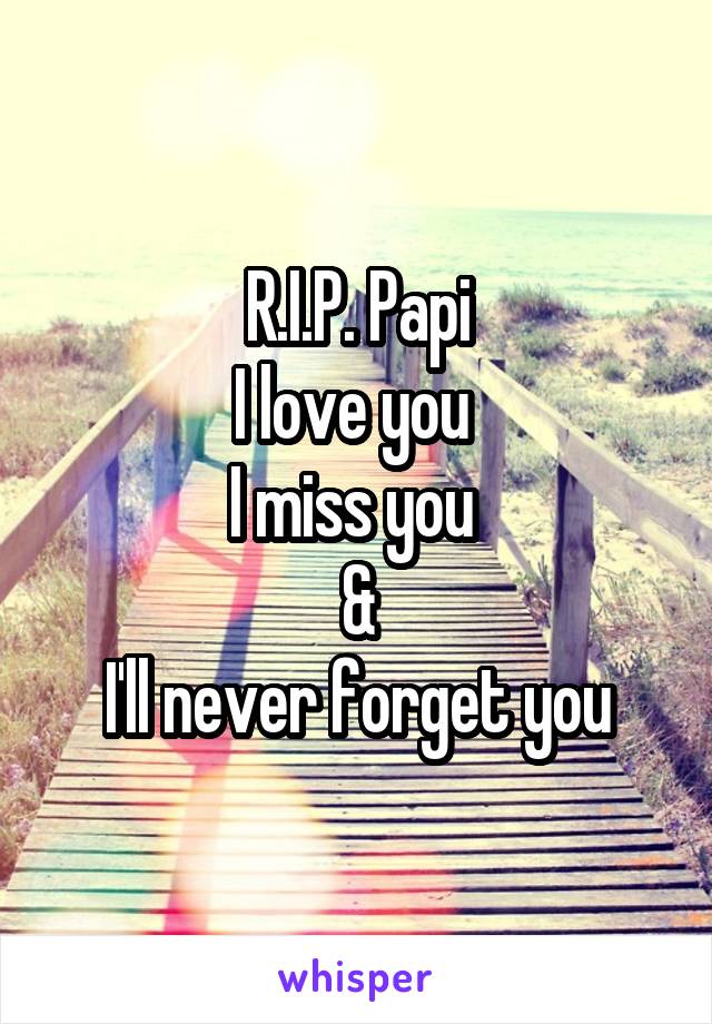 R.I.P. Papi
I love you 
I miss you 
&
I'll never forget you