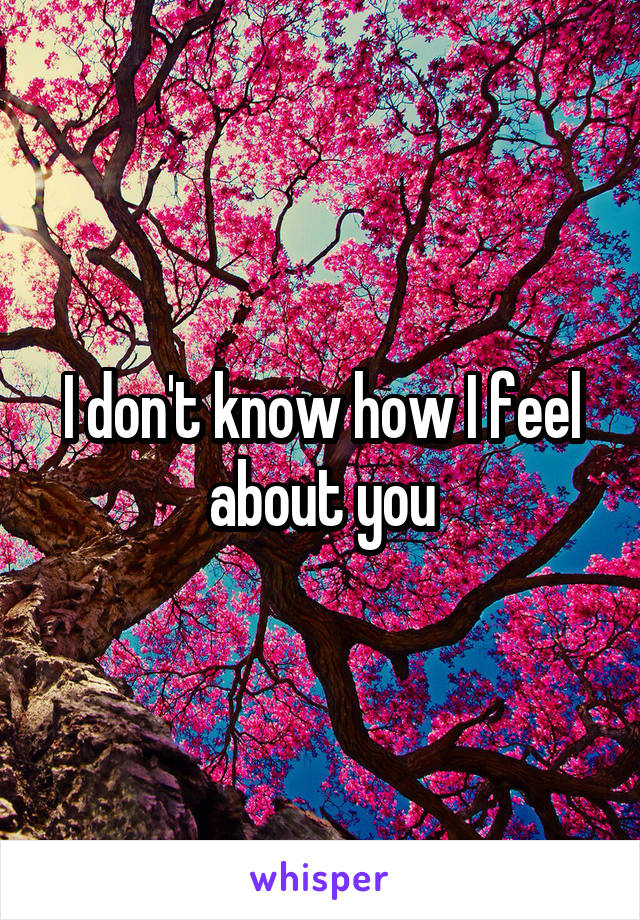 I don't know how I feel about you