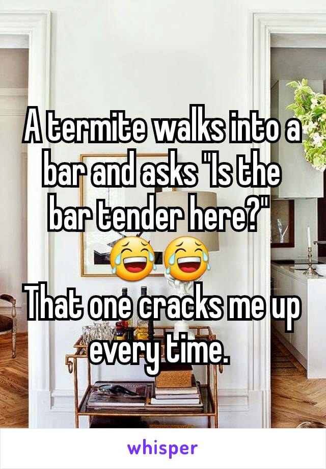 A termite walks into a bar and asks "Is the bar tender here?" 
😂😂 
That one cracks me up every time. 