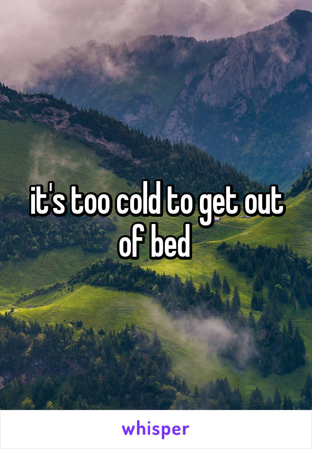 it's too cold to get out of bed 