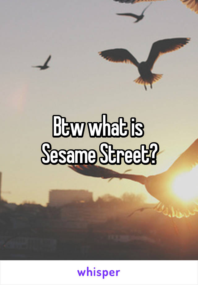 Btw what is 
Sesame Street?