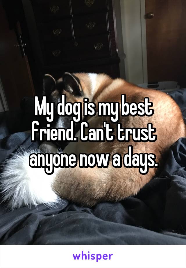 My dog is my best friend. Can't trust anyone now a days.