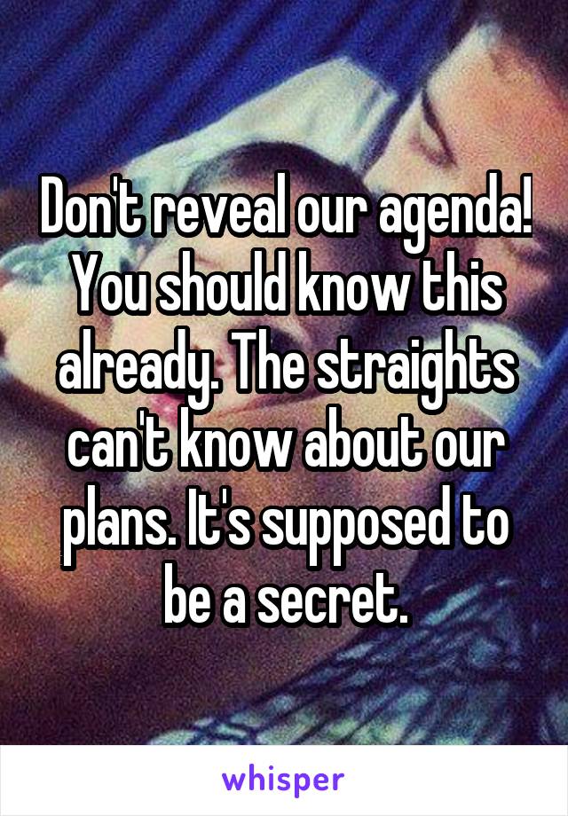 Don't reveal our agenda! You should know this already. The straights can't know about our plans. It's supposed to be a secret.