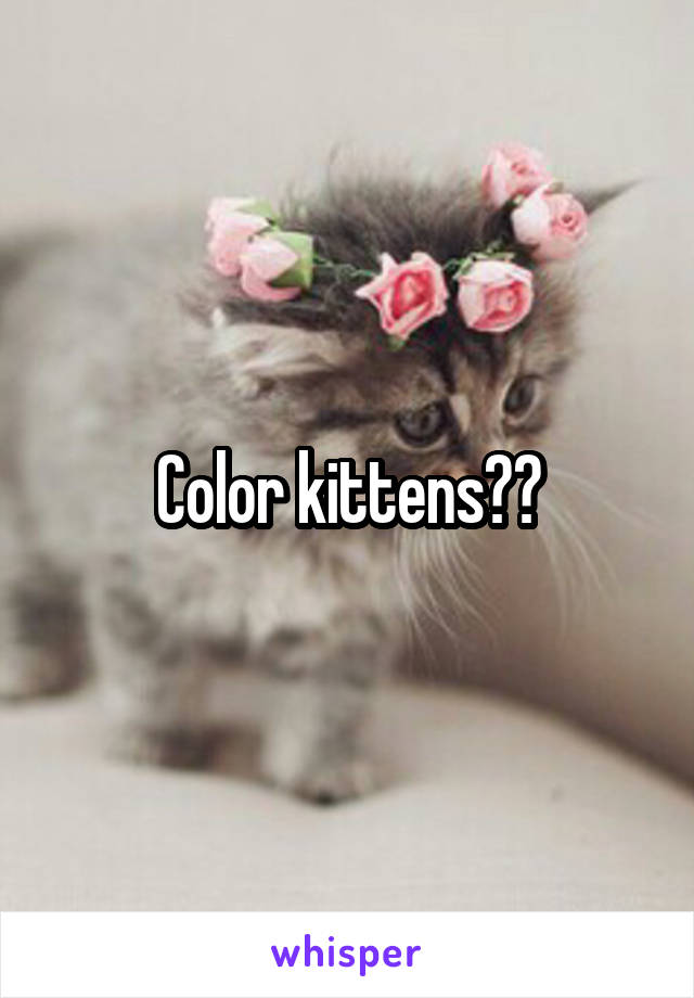 Color kittens??