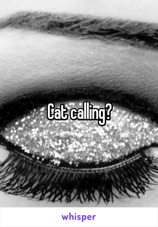 Cat calling?