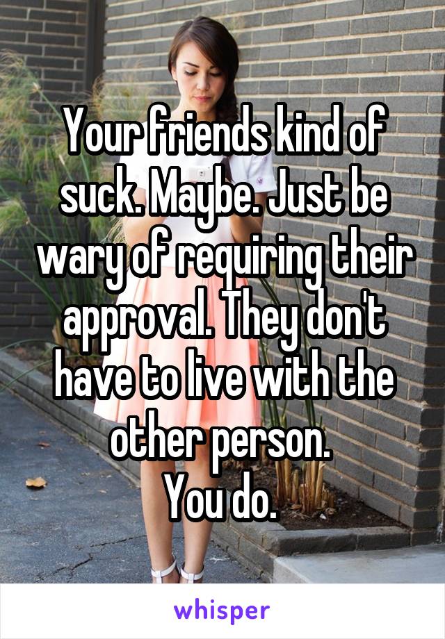 Your friends kind of suck. Maybe. Just be wary of requiring their approval. They don't have to live with the other person. 
You do. 