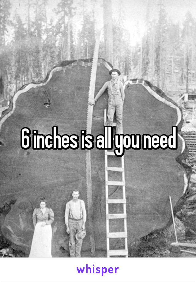 6 inches is all you need