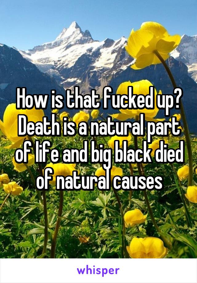 How is that fucked up? Death is a natural part of life and big black died of natural causes