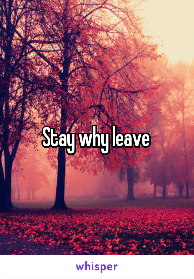 Stay why leave 