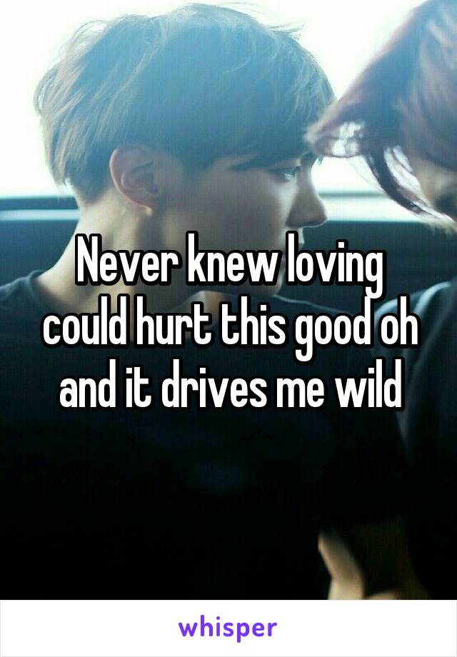 Never knew loving could hurt this good oh and it drives me wild