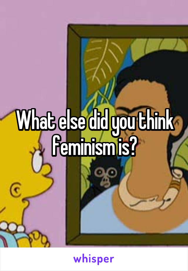 What else did you think feminism is?